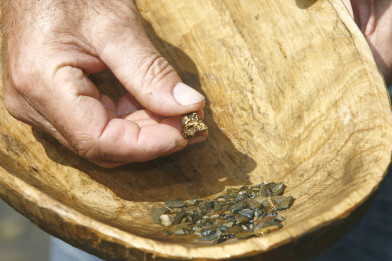 Goldschürfen: Hand mit Gold Nugget