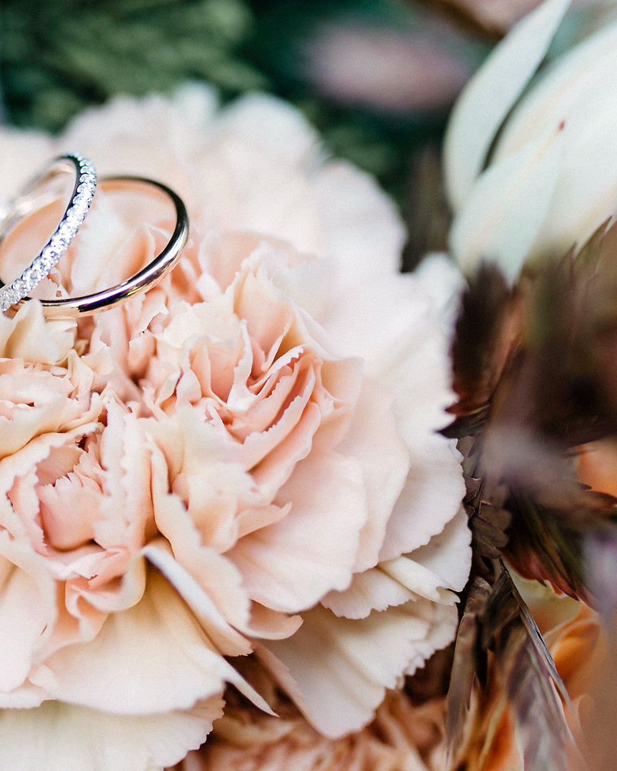 Trauring liegen auf Rose